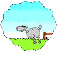 animiertes-tiere-bild-0038